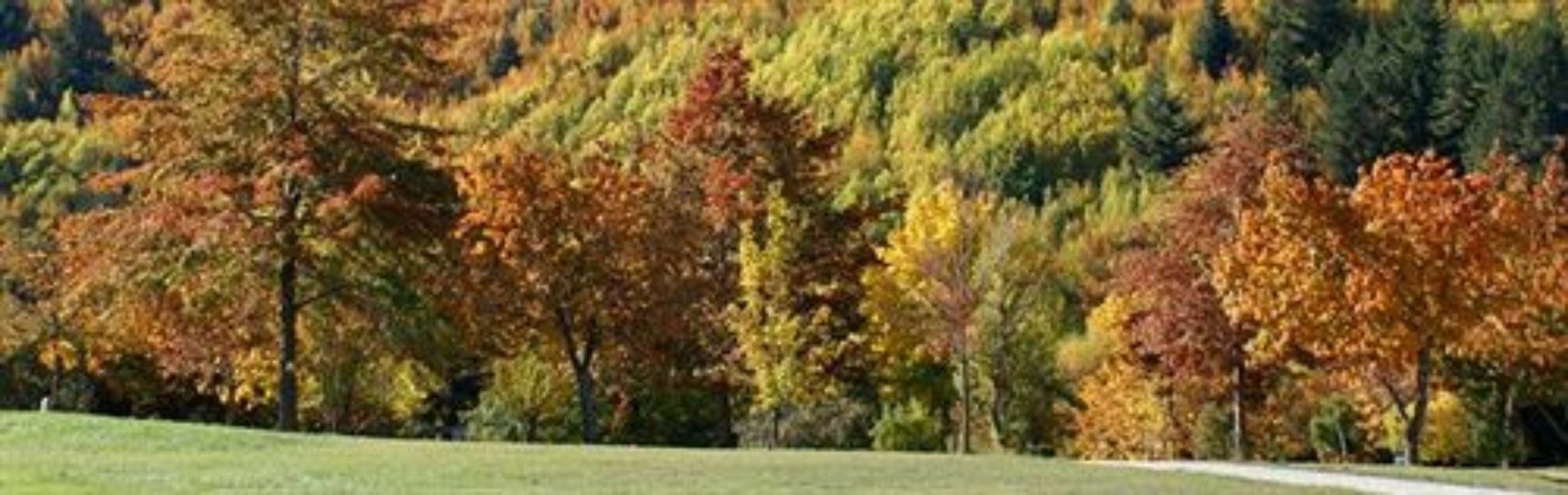 Hampshire Holiday Parks - Arrowtown Exteriér fotografie